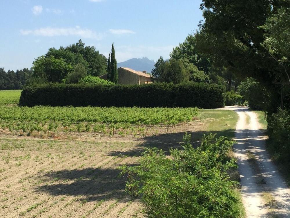 Mas Du Clos De L'Escarrat Jonquieres  Bagian luar foto